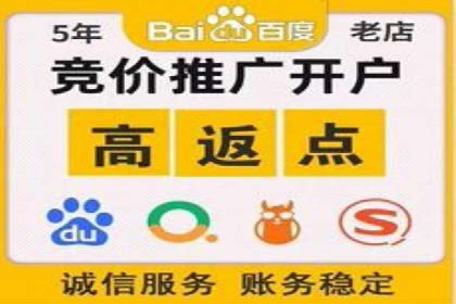 搜索引擎营销（SEM）的五大成功案例剖析